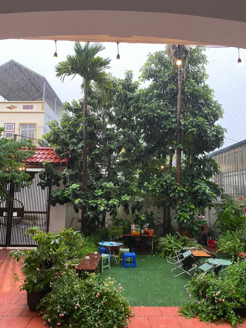 Vinh Yen An Homestay מראה חיצוני תמונה